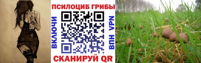 Псилоцибиновые грибы мухоморы  Купить где  Отрадный 